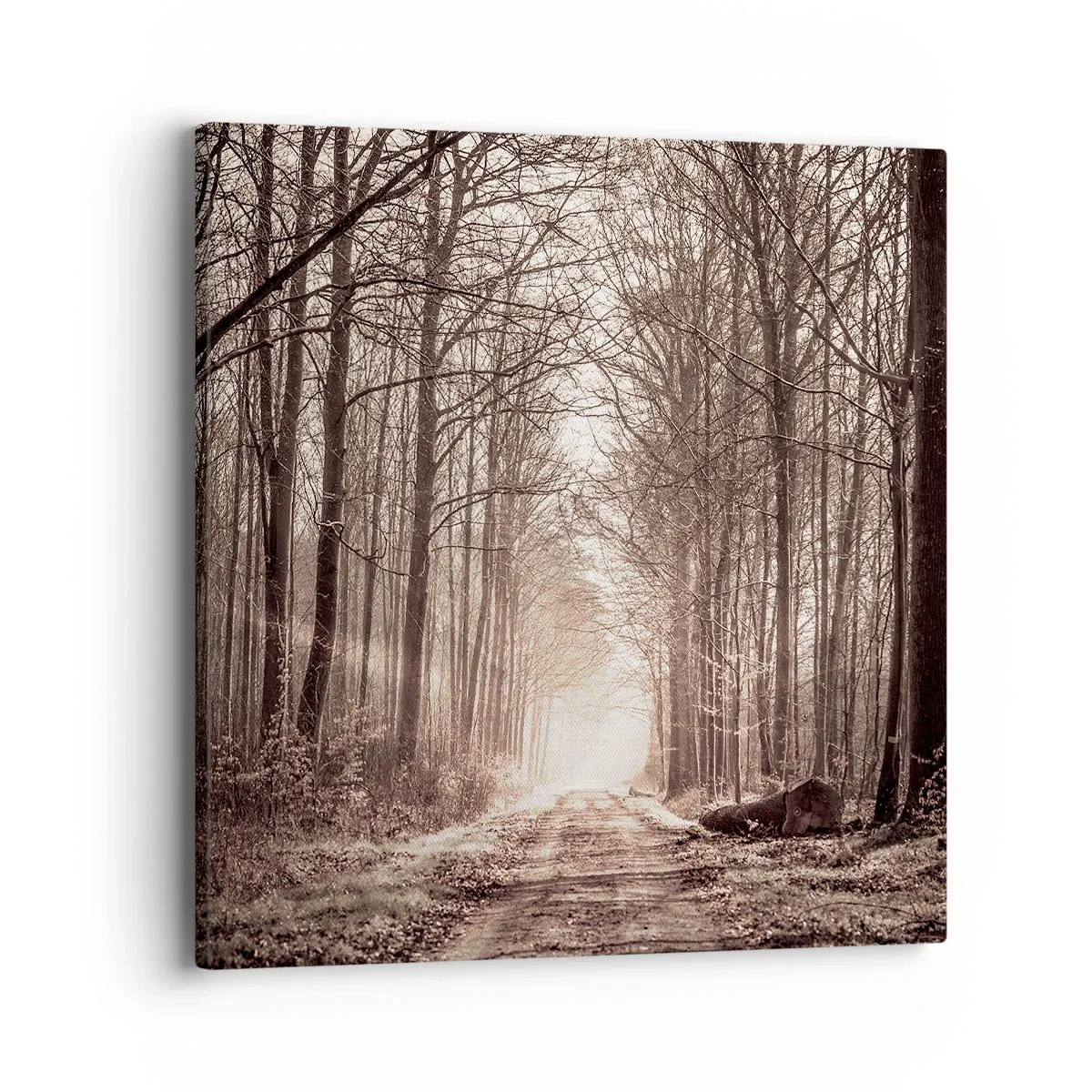 Canvas picture - Cathedral of the Forest - 40x40 cm