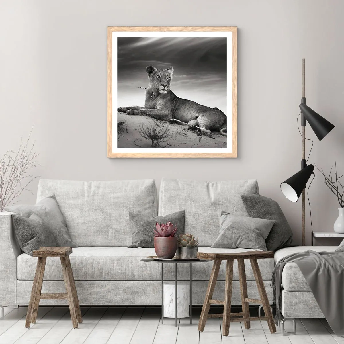 Poster in light oak frame - Queen of Desert Is Resting - 60x60 cm