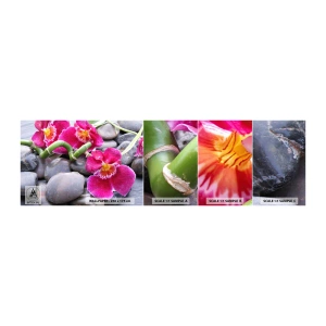 Photo Wallpaper Sample Standard Eco - Coolness and Heat - Flowers, Stones, Orchid - 100x30 cm
