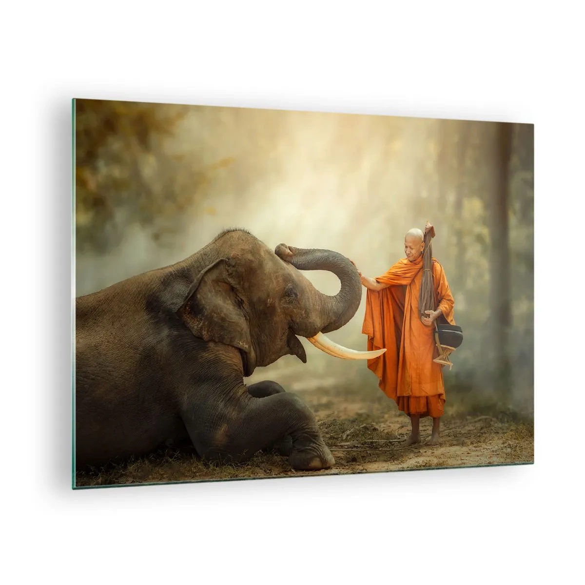 Glass picture - A monk in orange robes with an elephant in a natural setting - 70x50cm - Unexpected Meeting - Modern wall decoration for the living room and bedroom ARTTOR