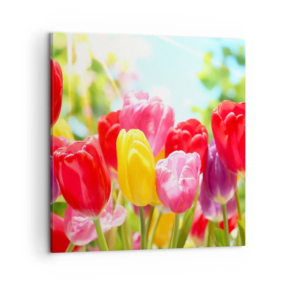 Canvas picture - It is Us, Colour of May! - 50x50 cm