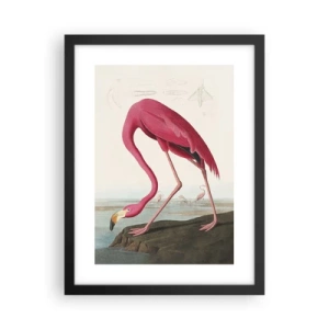 Poster in black frame - Curious Creature - 30x40 cm