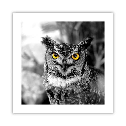 Poster - Nothing Can Hide - 40x40 cm