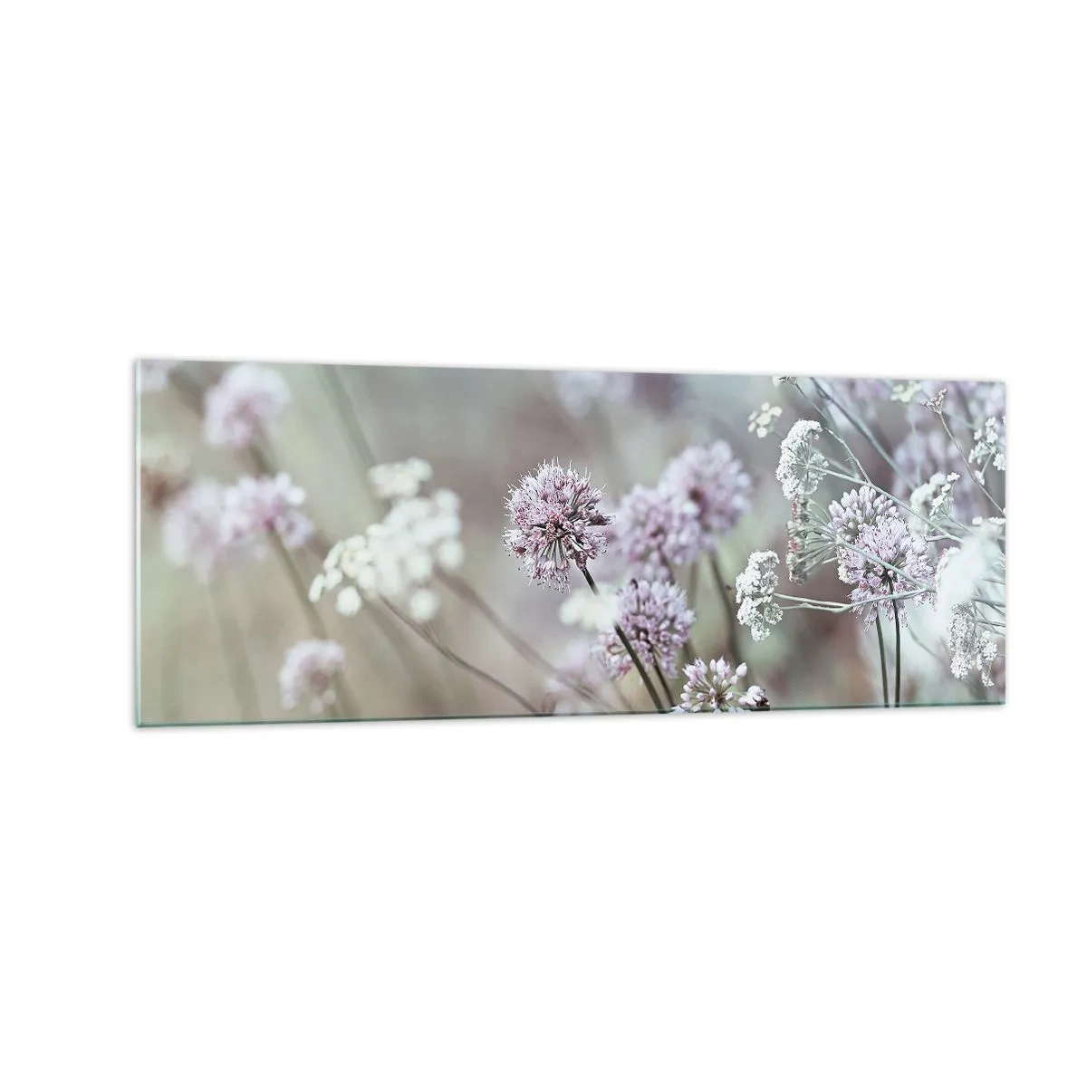 Glass picture - Sweet Filigrees of Herbs - 140x50 cm