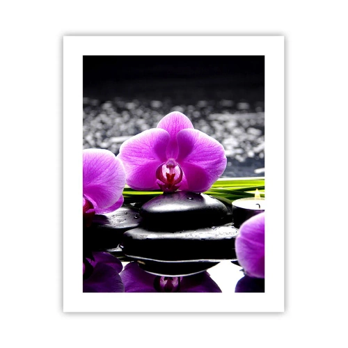 Poster - Drowning in Peace and Quiet - 40x50 cm