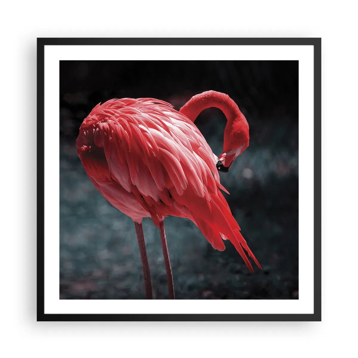 Poster in black frame - Crimson Poem of Nature - 60x60 cm