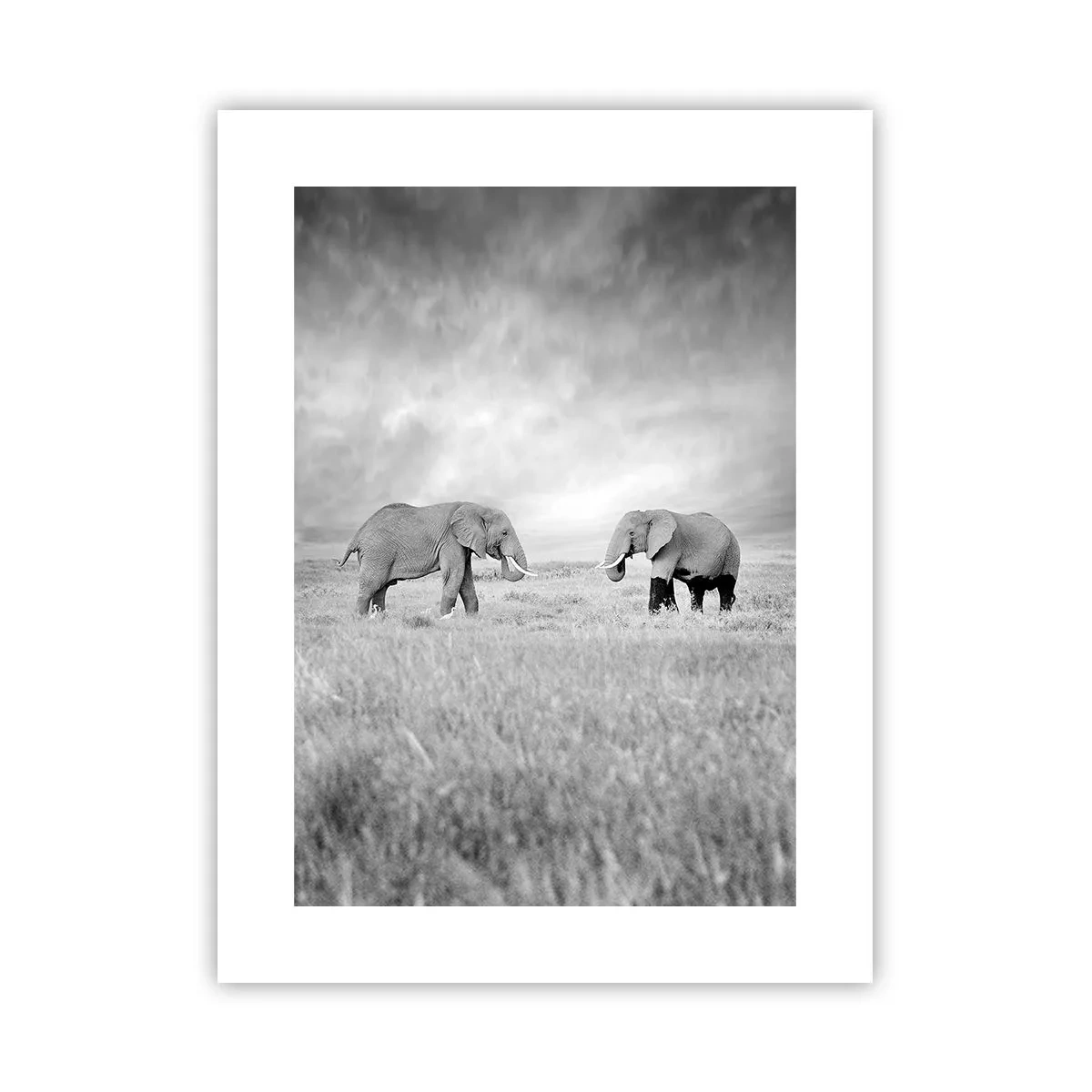 Poster - Grey Is Beautiful - 30x40 cm