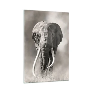 Glass picture - African Patriarch - 70x100 cm