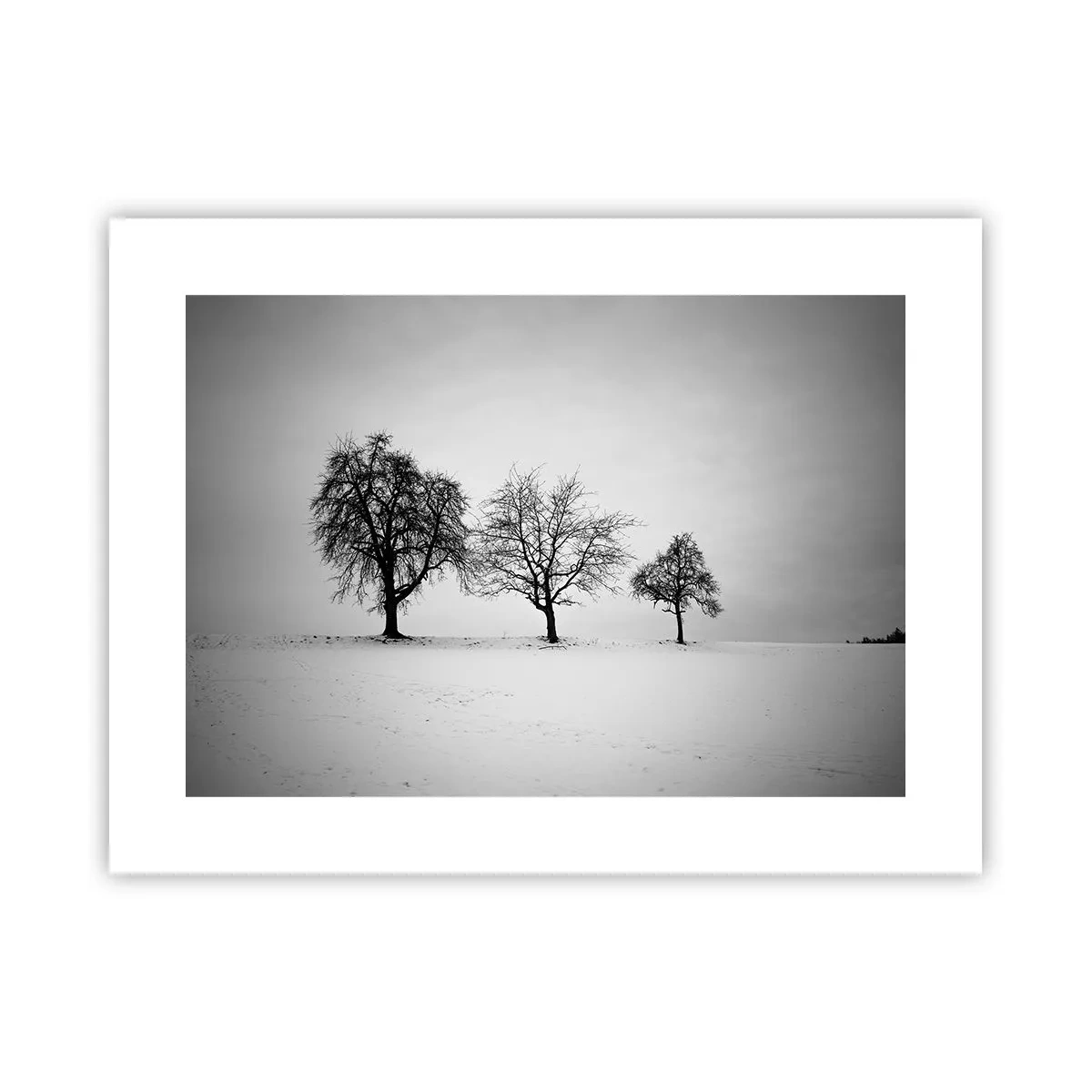 Poster - What Are They Dreaming About? - 40x30 cm