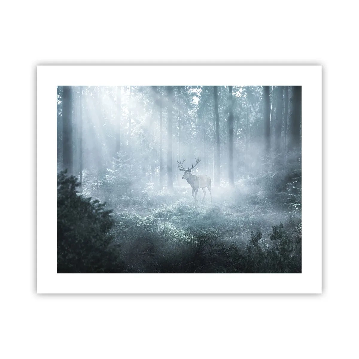 Poster - Morning Round of the Estate - 50x40 cm