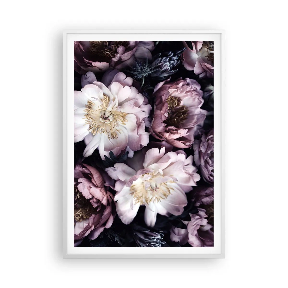 Poster in white frmae - Old Style Bouquet - 70x100 cm