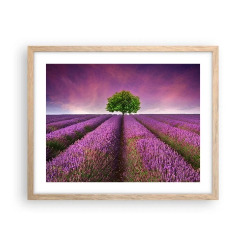 Poster in light oak frame - In the Fields of Lavender - 50x40 cm