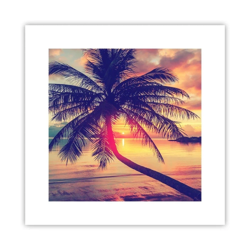 Poster - Evening under the Palm Trees - 30x30 cm