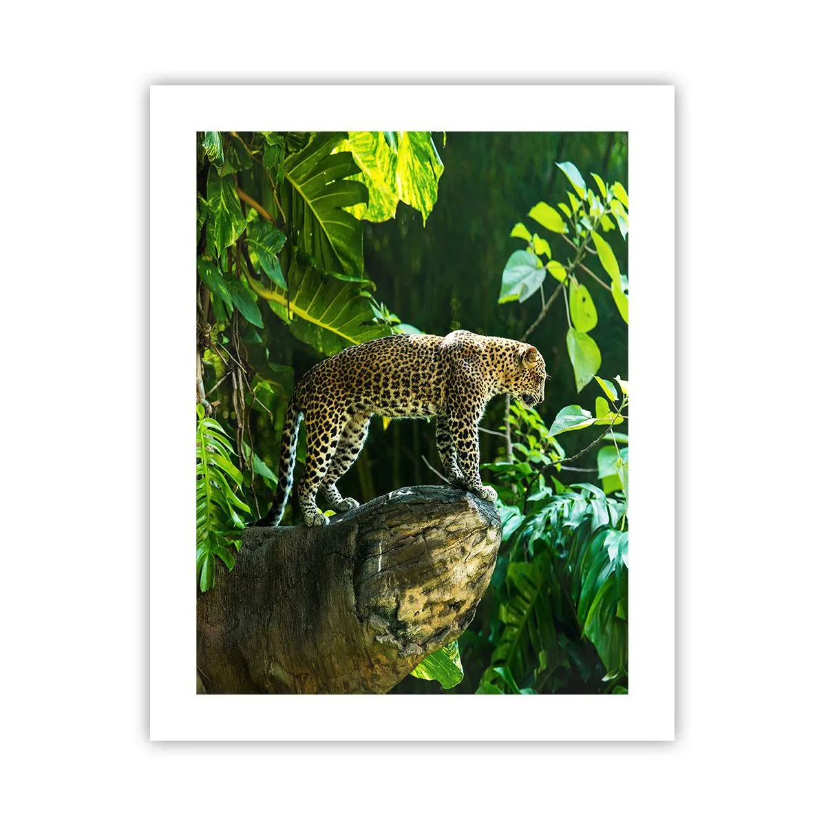 Poster - Going Hunting? - 40x50 cm