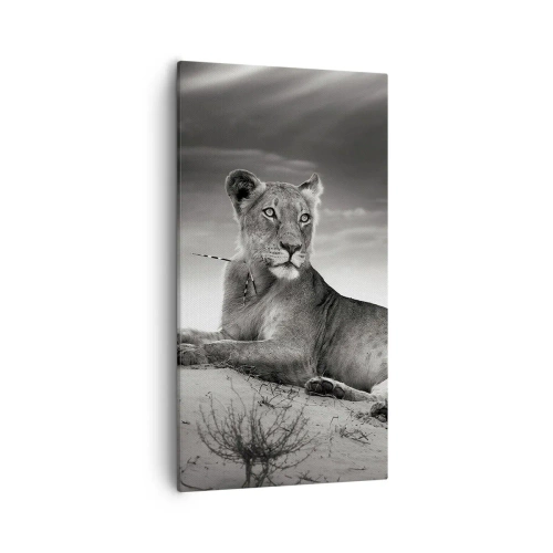 Canvas picture - Queen of Desert Is Resting - 55x100 cm