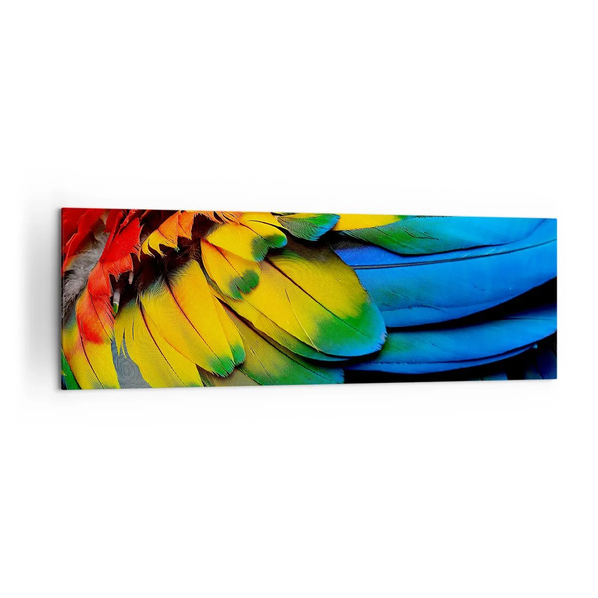 Canvas picture - Bird Of Paradise - 160x50 cm