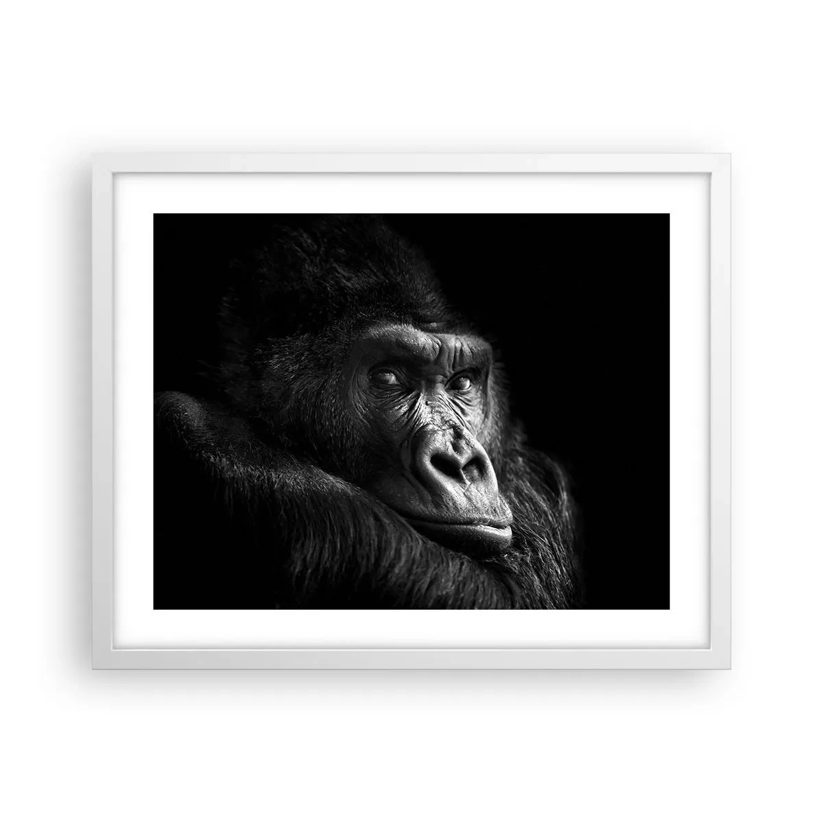Poster in white frmae - What Are You Looking At? - 50x40 cm