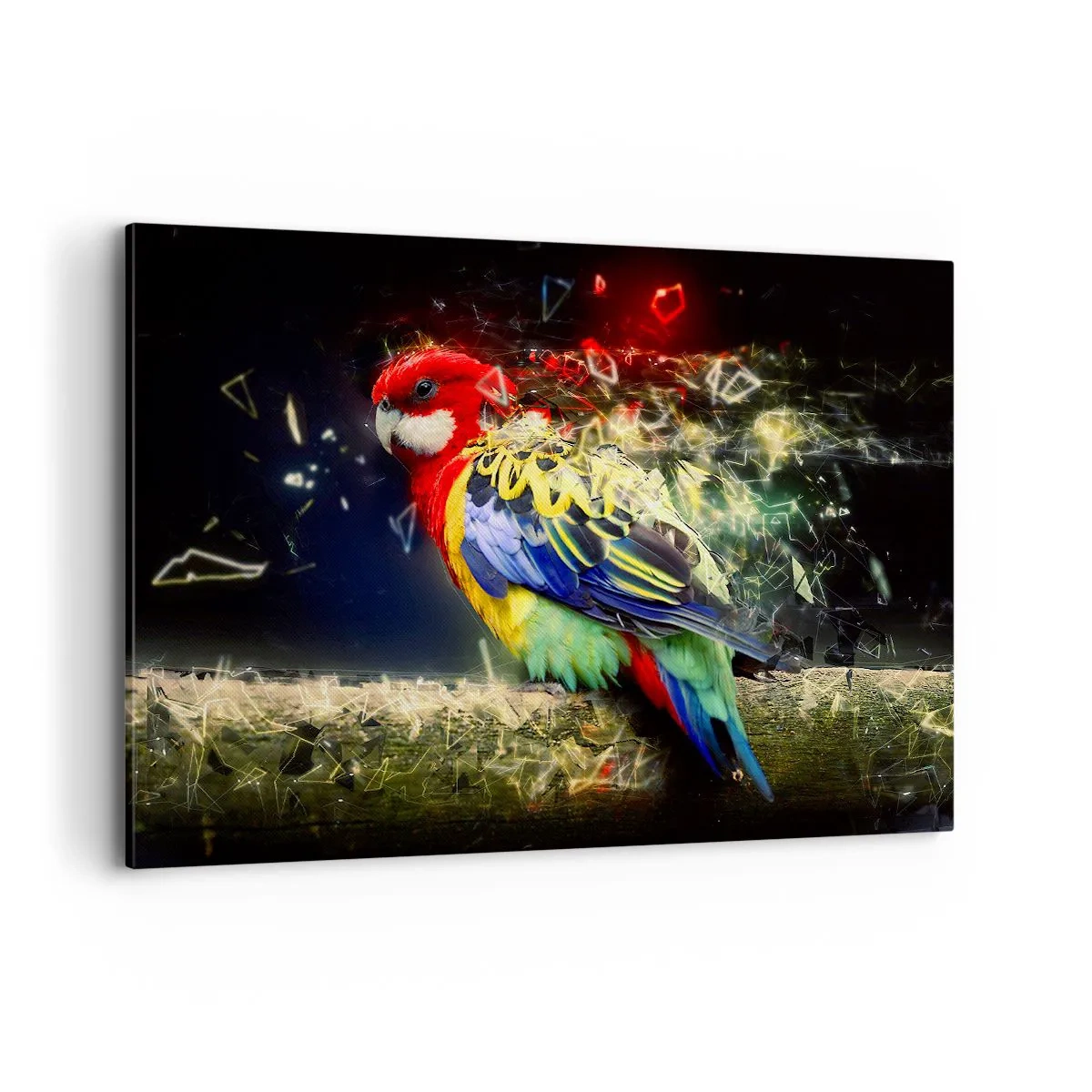 Canvas picture - Messenger of Light - 120x80 cm