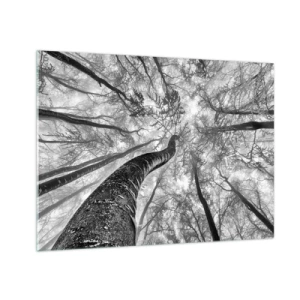 Glass picture - Black and white trees photographed from below towards the sky - 70x50cm - Race for the Light - Modern wall decoration for the living room and bedroom ARTTOR
