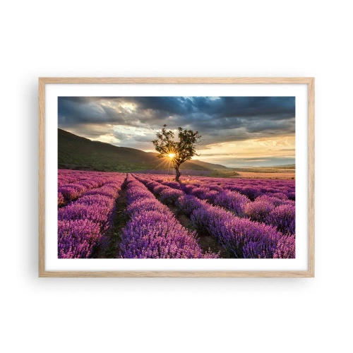 Poster in light oak frame - Lilac Coloured Aroma - 70x50 cm