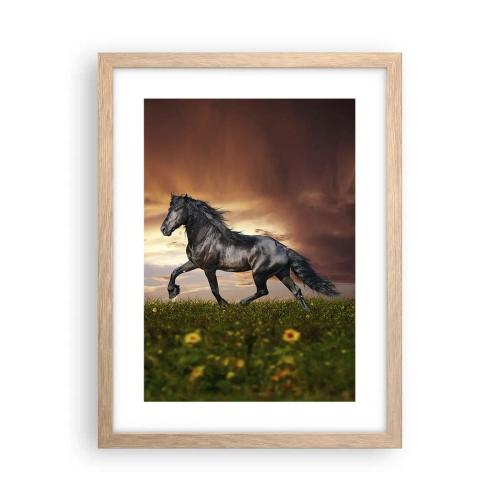 Poster in light oak frame - Black Prince - 30x40 cm