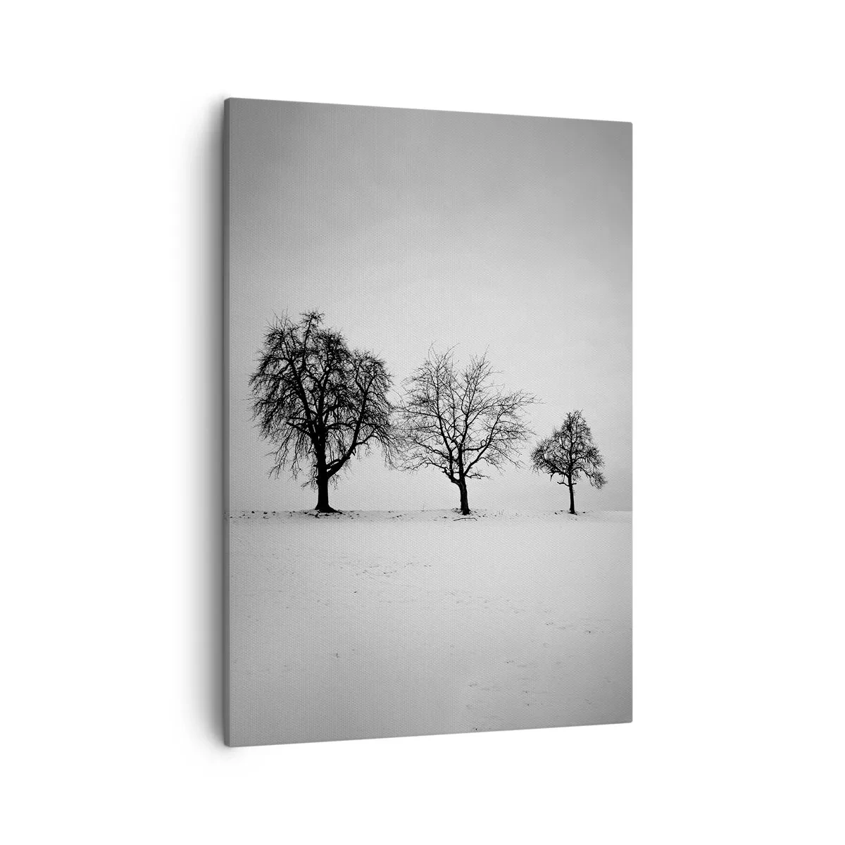 Canvas picture - What Are They Dreaming About? - 50x70 cm