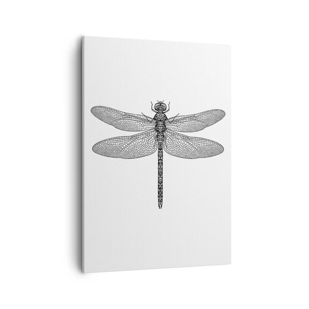 Canvas picture - Precision of Nature - 50x70 cm