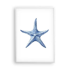 Poster in white frmae - Sea Star - 70x100 cm