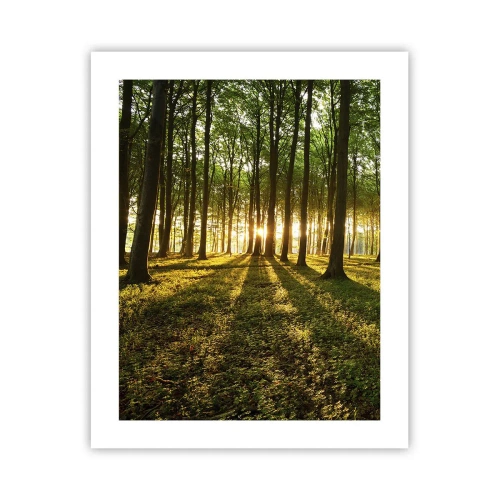 Poster - Photography of All Springs - 40x50 cm
