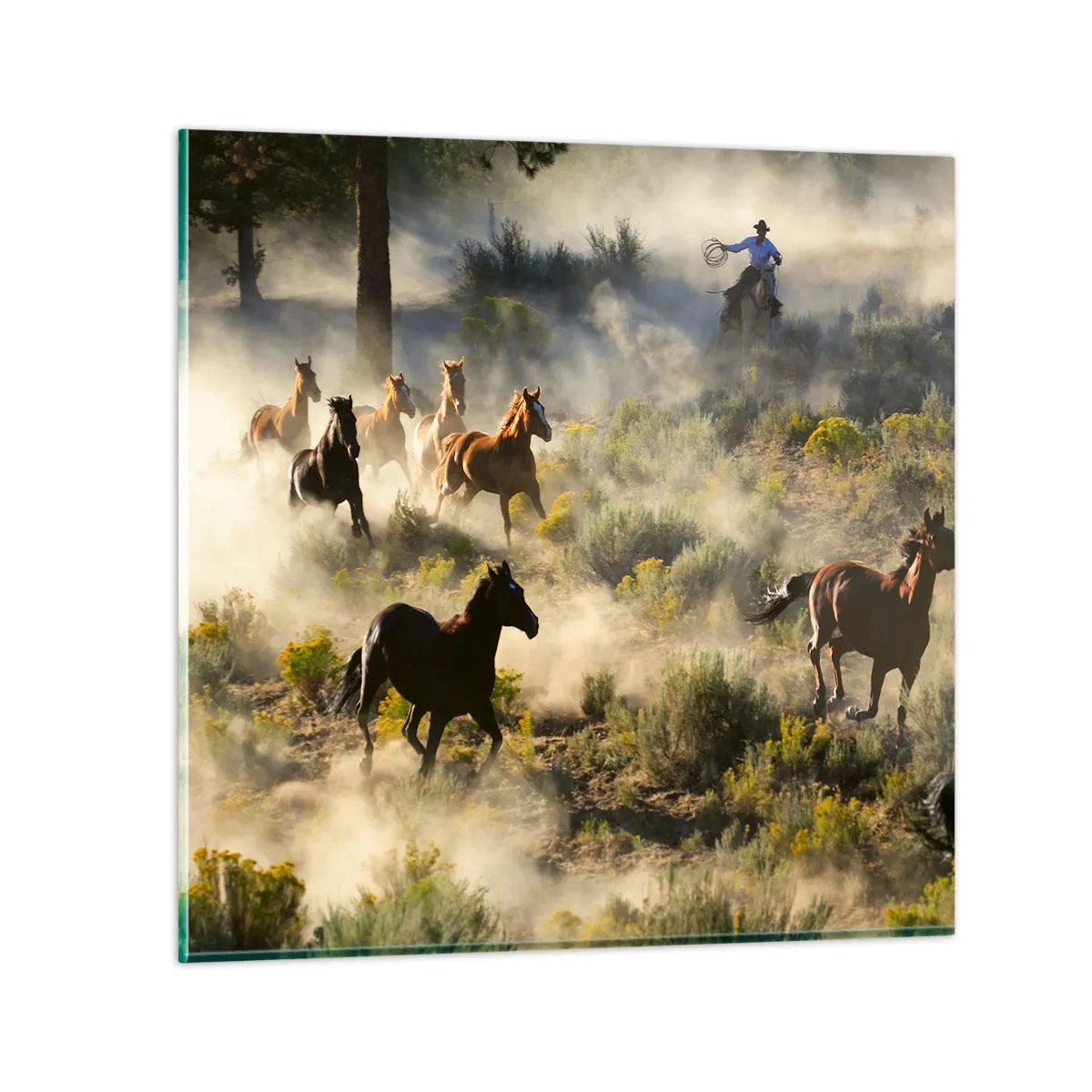 Glass picture - Rivalry - Freedom or Man Power? - 30x30 cm