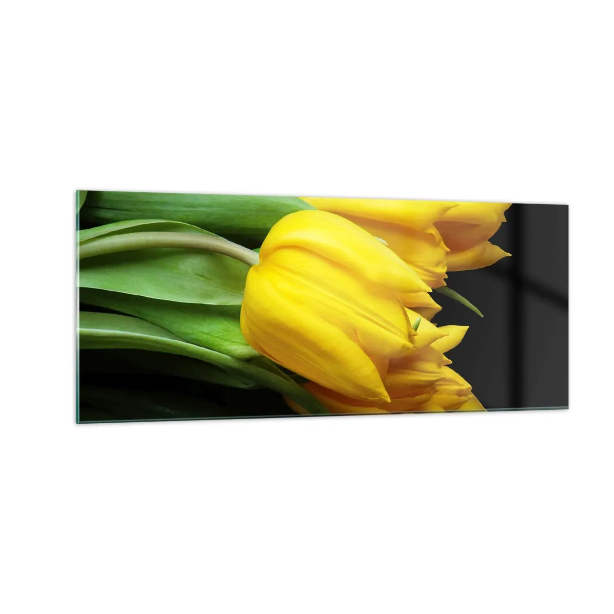 Glass picture - Born from the Sun - 100x40 cm