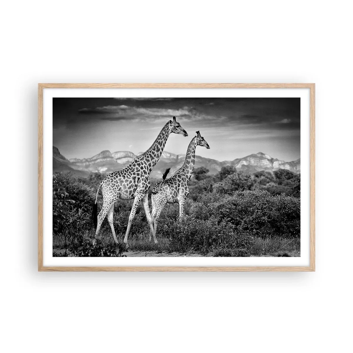 Poster in light oak frame - Higher Spheres in Africa - 91x61 cm