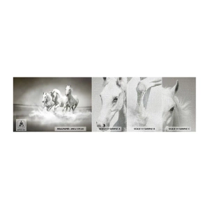 Photo Wallpaper Sample Premium Canvas - White Madness - Animals, Horses, Nature - 100x30 cm