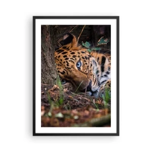 Poster in black frame - A reclining leopard with intense blue eyes - 50x70cm - Trust Me - Modern wall decoration for the living room and bedroom ARTTOR