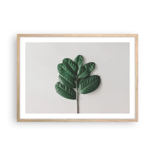 Poster in light oak frame - Drawing of Nature Itself - 70x50 cm