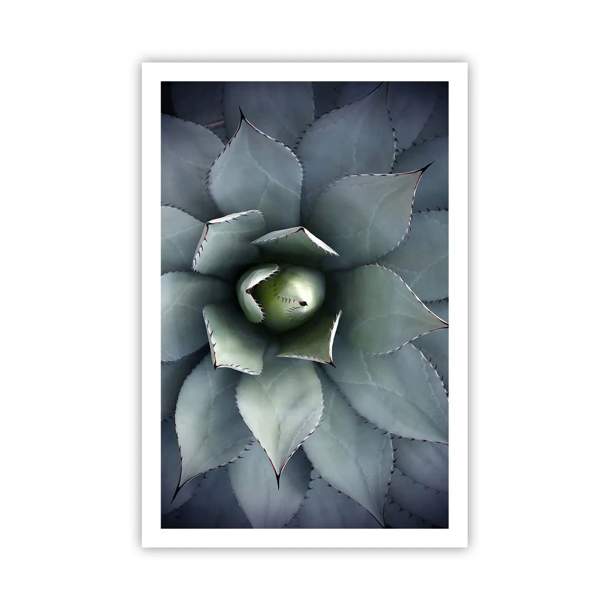 Poster - Attracts and Warns - 61x91 cm