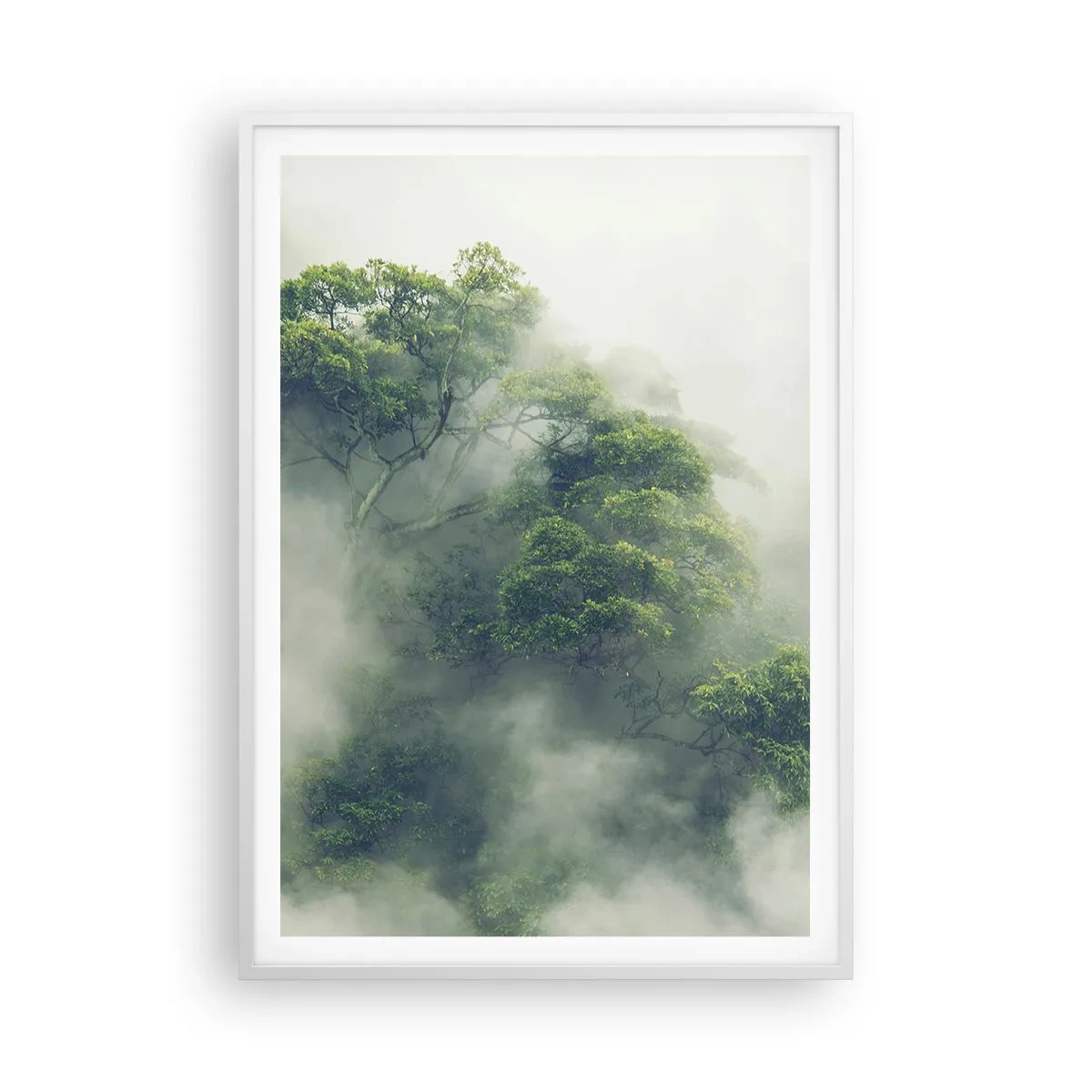 Poster in white frmae - Wrapped In Fog - 70x100 cm