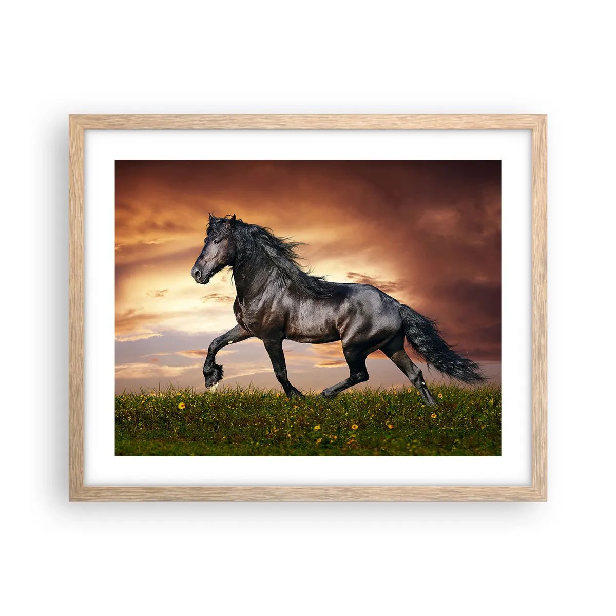 Poster in light oak frame - Black Prince - 50x40 cm