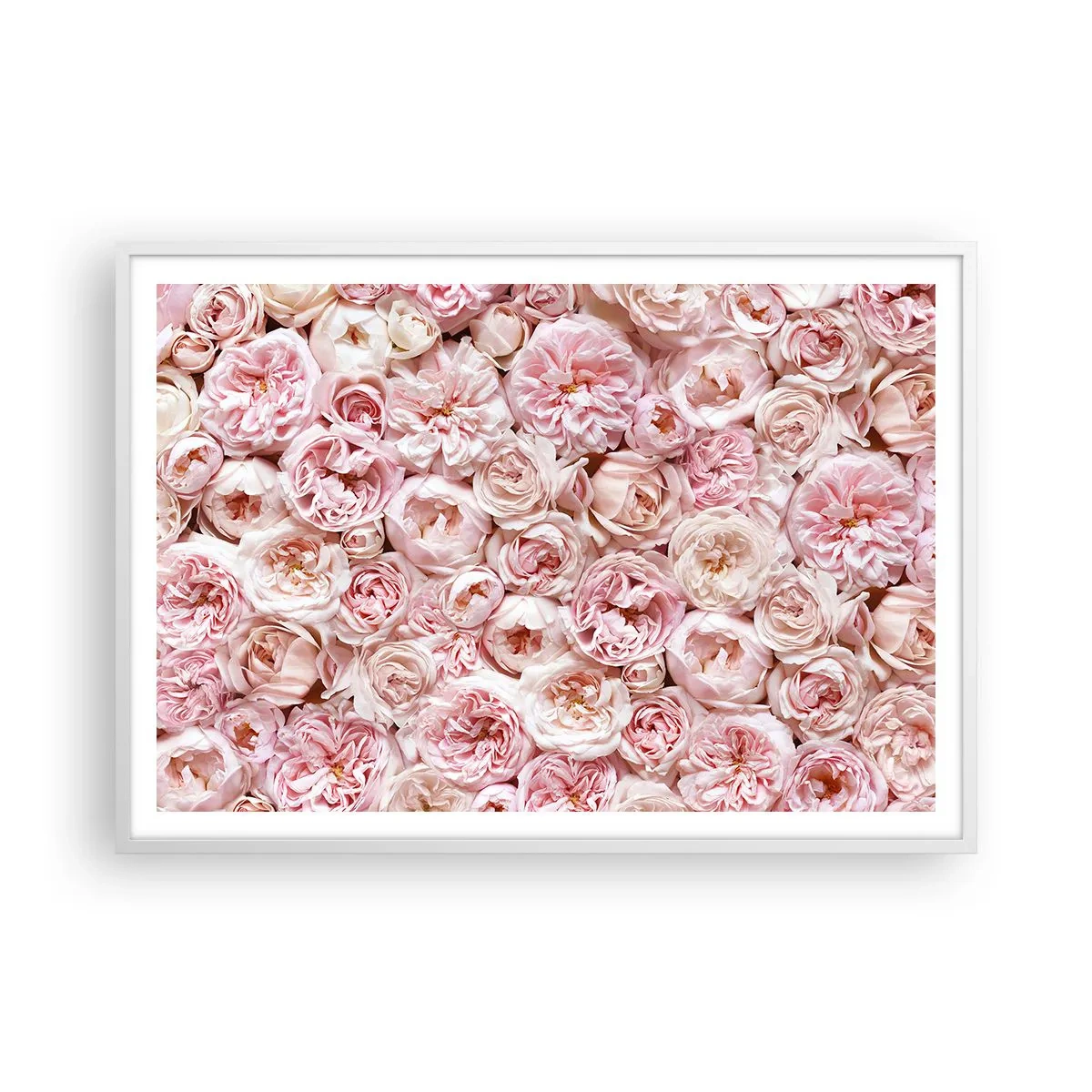 Poster in white frmae - Decked with Roses - 100x70 cm