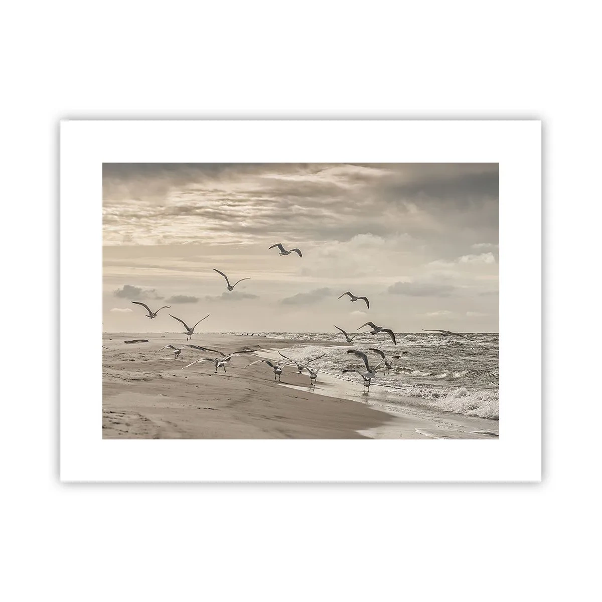 Poster - Sound of the Sea, Singing of the Birds - 40x30 cm