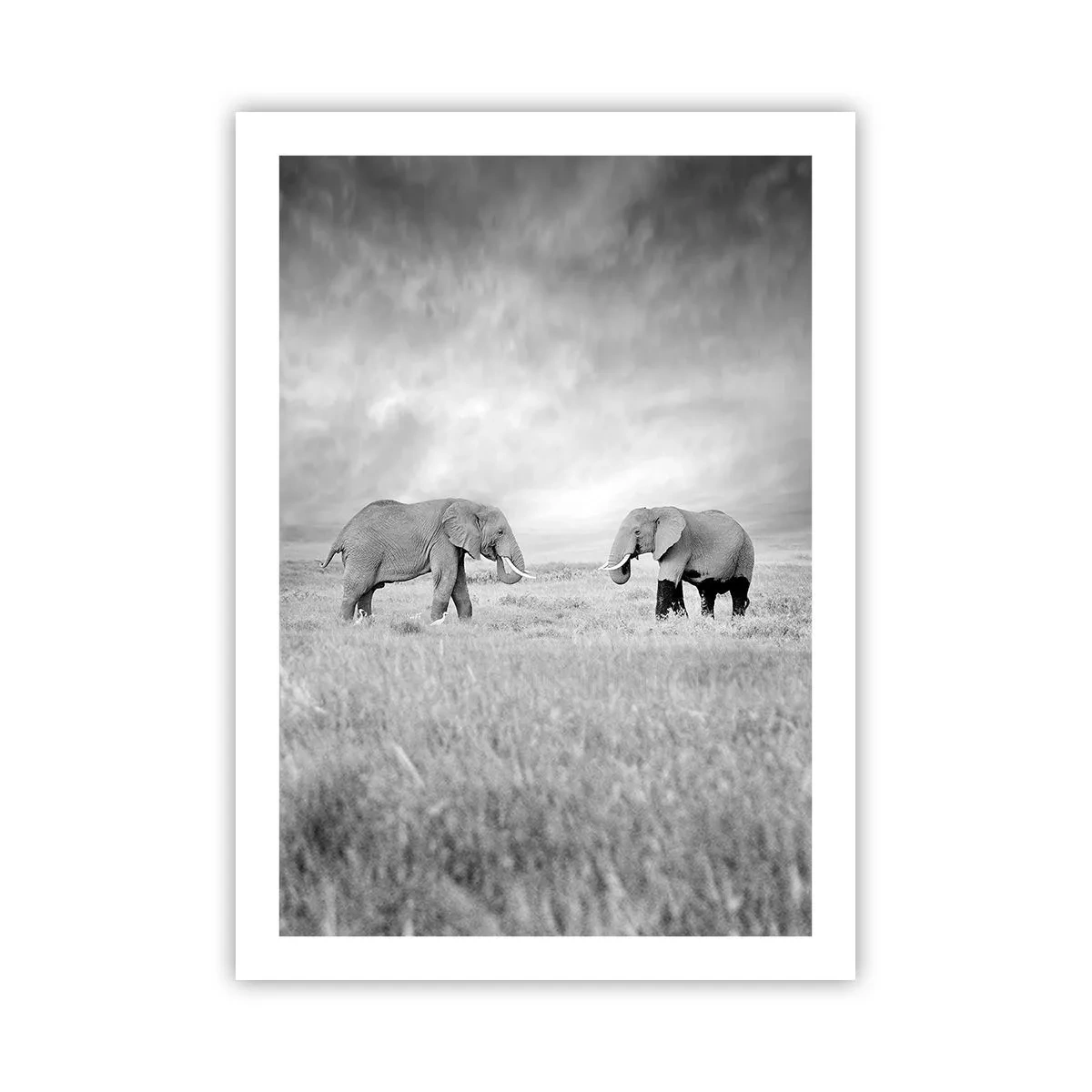 Poster - Grey Is Beautiful - 50x70 cm