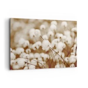 Canvas picture - Fluffy field - 100x70 cm