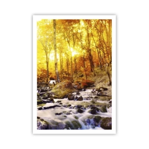 Poster - Stones Set in Gold and Platinum - 70x100 cm