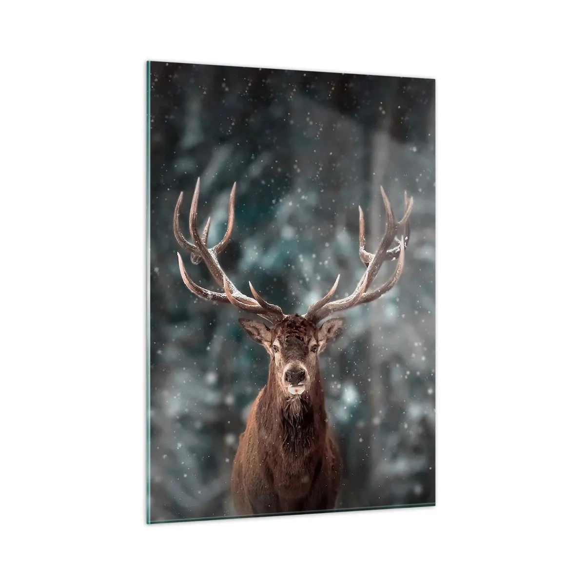 Glass picture - King of Forest Crowned - 50x70 cm