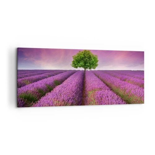Canvas picture - In the Fields of Lavender - 120x50 cm