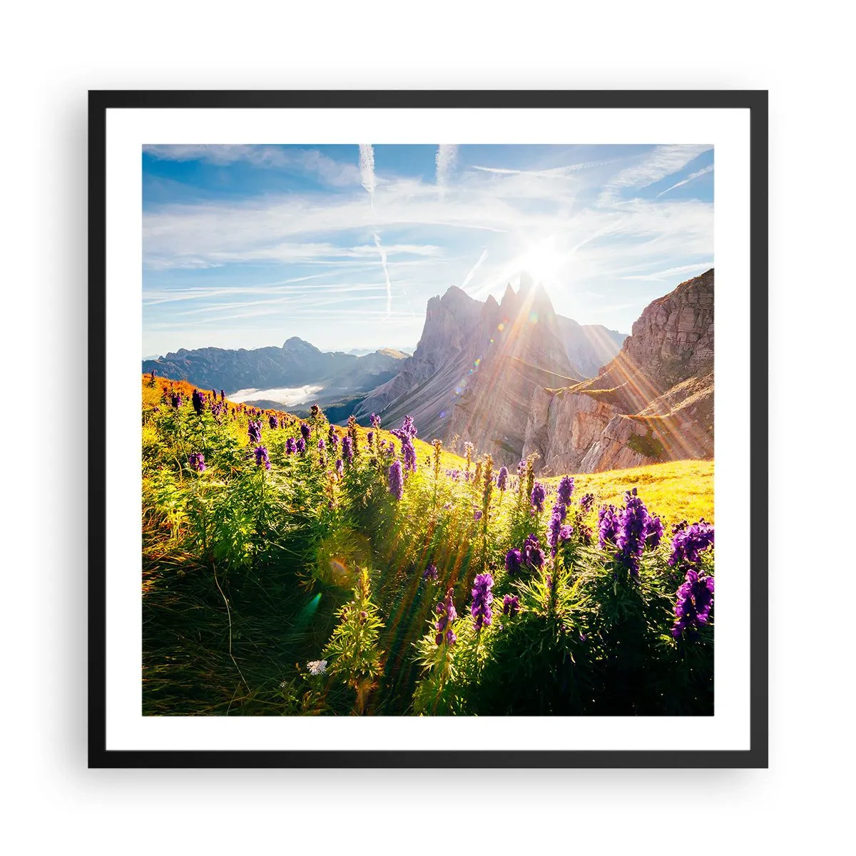 Poster in black frame - Secret Life of Herbs - 60x60 cm