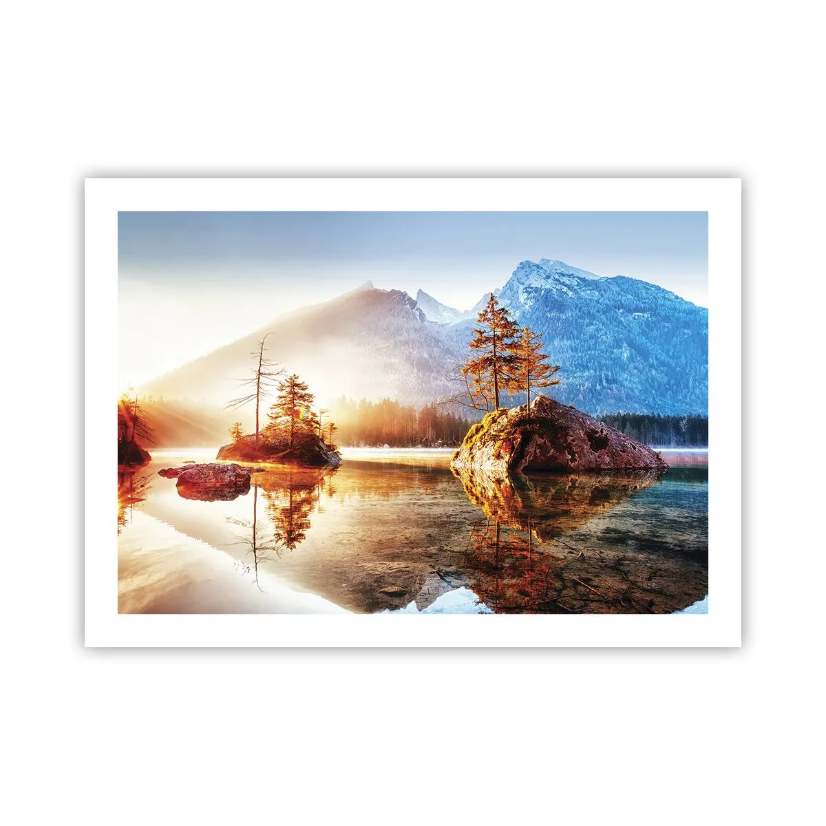 Poster - Nature in New Light - 70x50 cm
