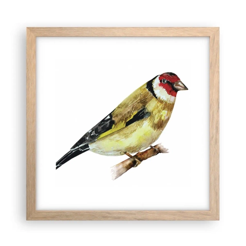 Poster in light oak frame - Bird Portrait  - 30x30 cm
