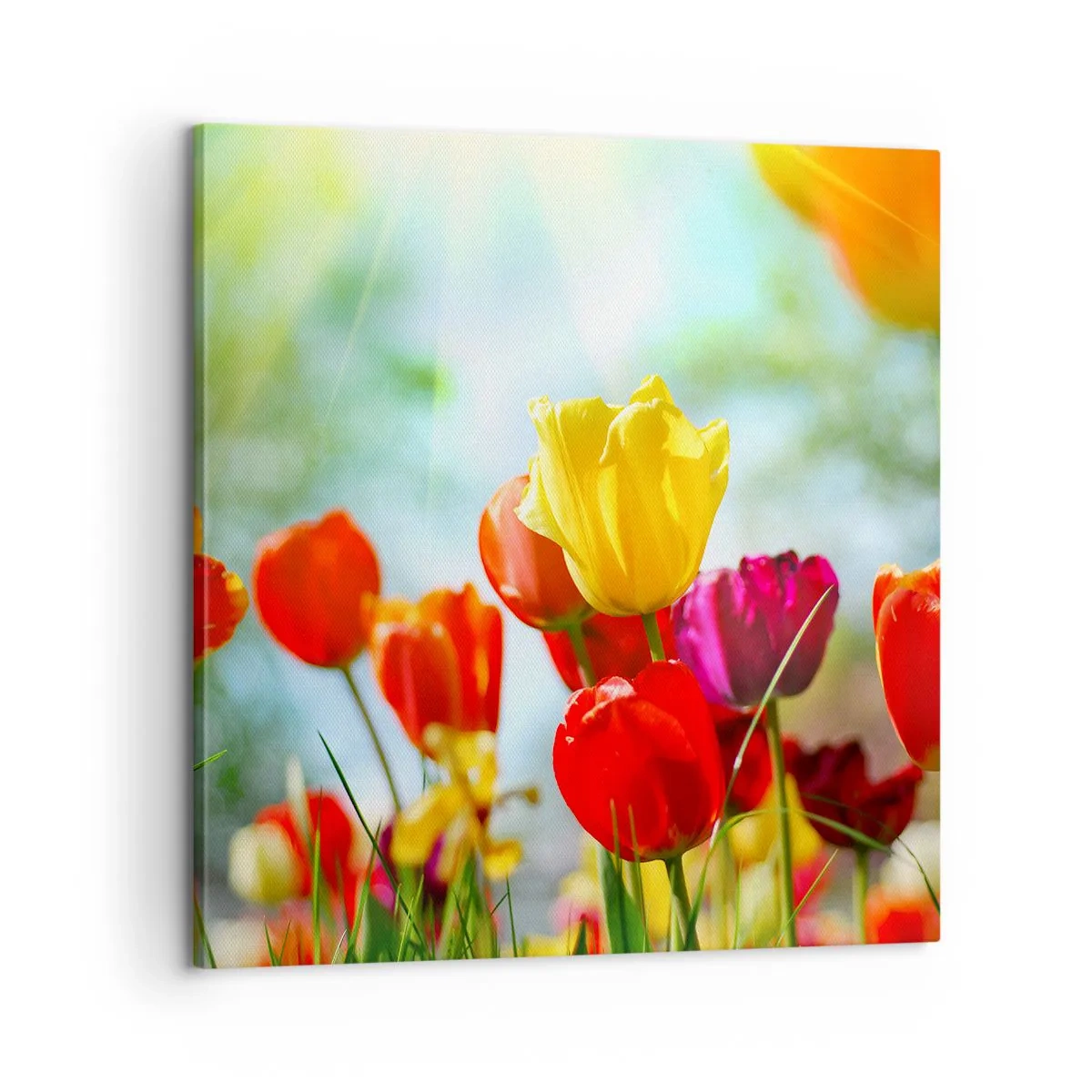 Canvas picture - All Colours of the Sun - 60x60 cm