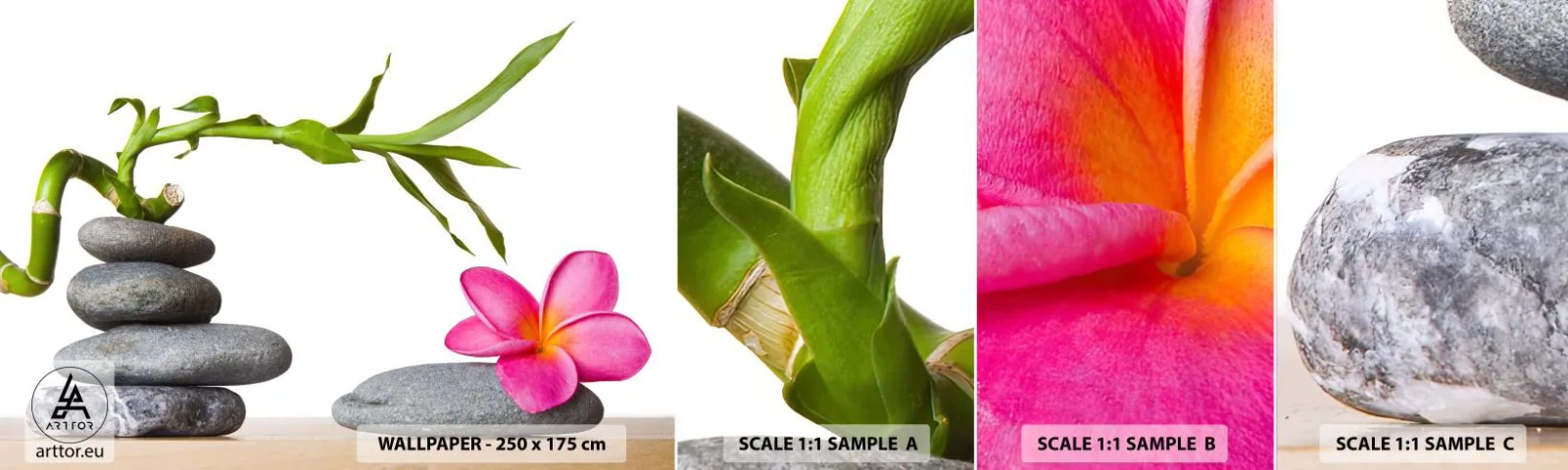 Photo Wallpaper Sample Standard Eco - Colours of Life - Flower, Stones, Spa - 100x30 cm